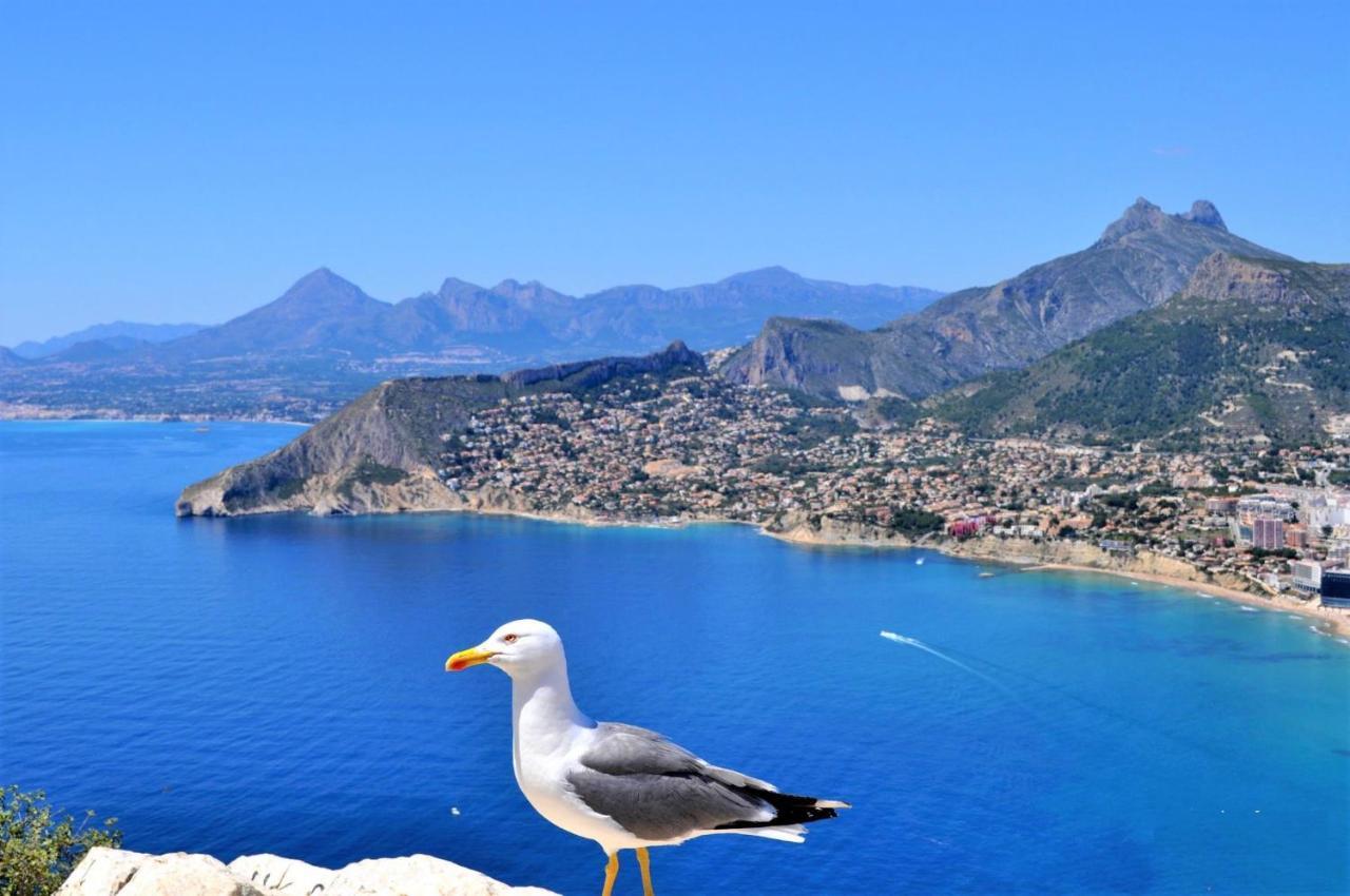 A0831 Villa Calpe Exteriör bild